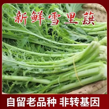 雪里红雪菜新鲜雪里蕻腌菜湖北当季青菜蔬菜 3斤装