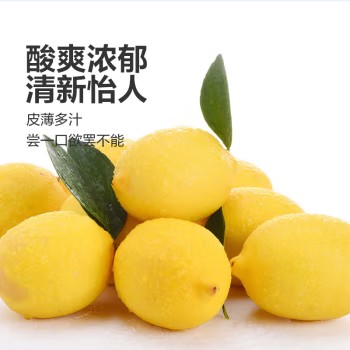正宗安岳黄柠檬 新鲜水果 清香浓郁 净重5斤大果100g-150g