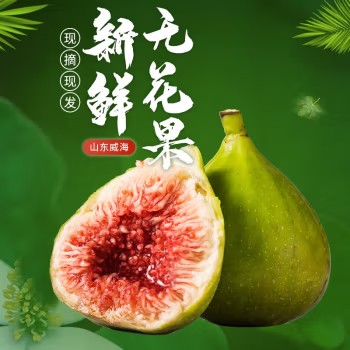 威海青皮无花果山东绿皮无花果鲜果时令新鲜孕妇水果 2斤甄选S+级
