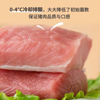 里脊肉500g 冷冻猪里脊肉 烤肠食材 国产猪肉生鲜