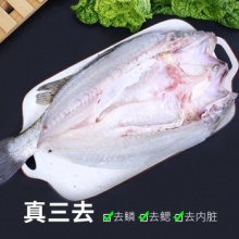 三去海鲈鱼500g*3条 去麟去腮去内脏 国产 生鲜鱼类