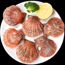 青岛鲜活海捕红扇贝 500g 12-16只 海鲜水产